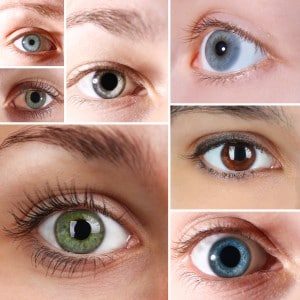 The Iris – Why Are My Eyes The Color They Are? 